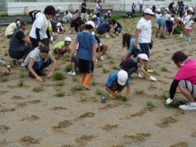 一色小学校の植付けの様子