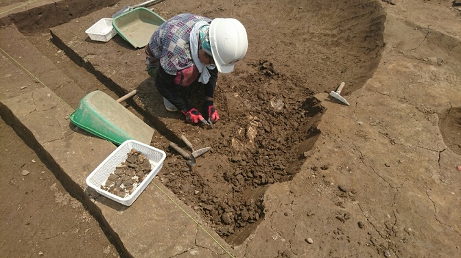 公開発掘中の作業風景の画像1