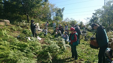 秋の船来山古墳群清掃活動の様子1