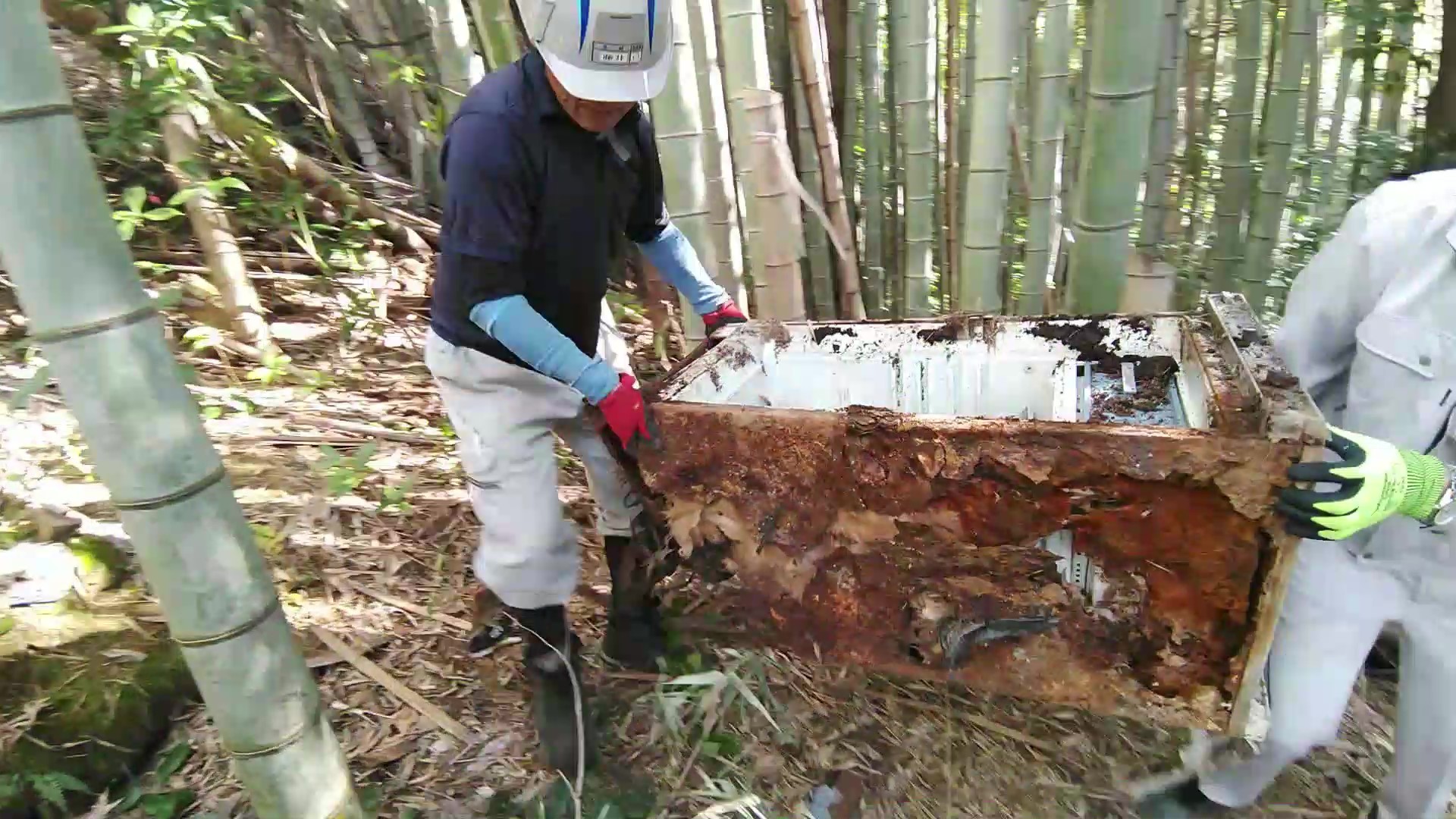 不法投棄撤去