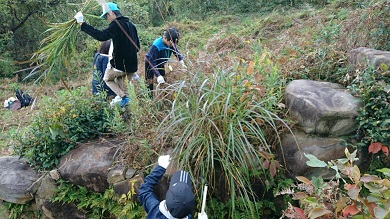 船来山古墳群清掃活動・古代米収穫祭の様子2