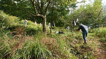 船来山古墳群清掃活動・古代米収穫祭の様子4