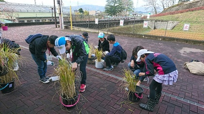 船来山古墳群清掃活動・古代米収穫祭の様子5
