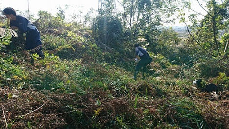 船来山古墳群清掃活動の様子1