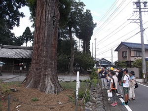 神王社の歴史と日本の国技相撲を学ぼうの様子7