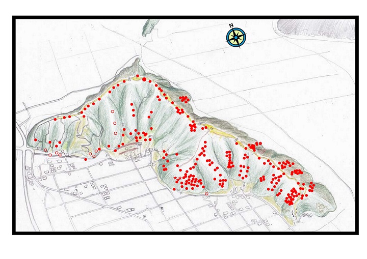 船来山古墳群分布図の画像