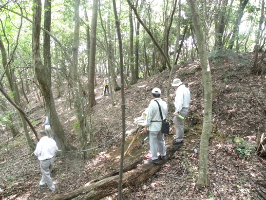 船来山5・6号墳の調査現地指導の様子1