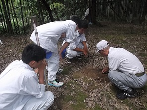 船来山12号墳測量調査の写真2