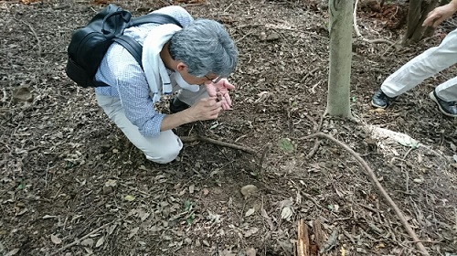 船来山64号墳詳細測量調査4