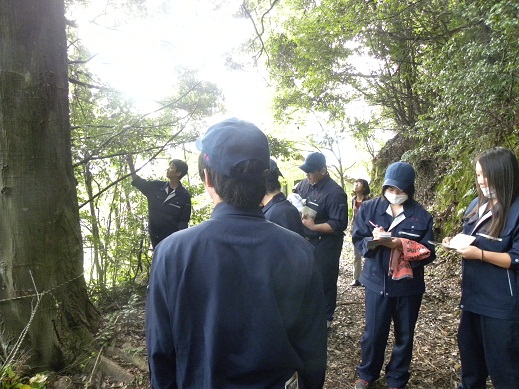 船来山古墳群植生基礎調査の様子1