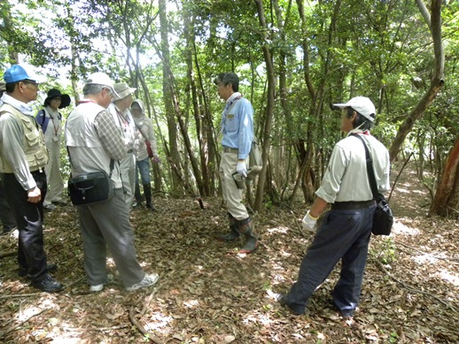 船来山5号墳6号墳の様子