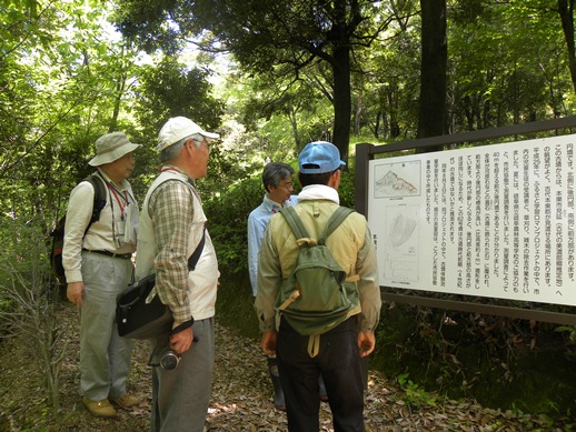 船来山62号墳見学の様子